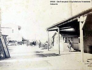 ORAN- 04
